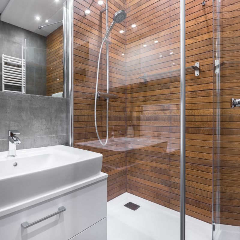 Contemporary Shower Area